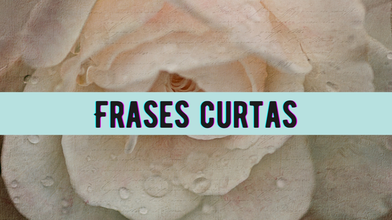 Frases curtas